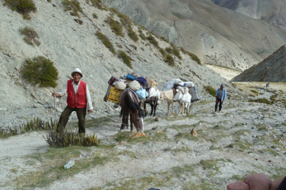 Junglam Trek