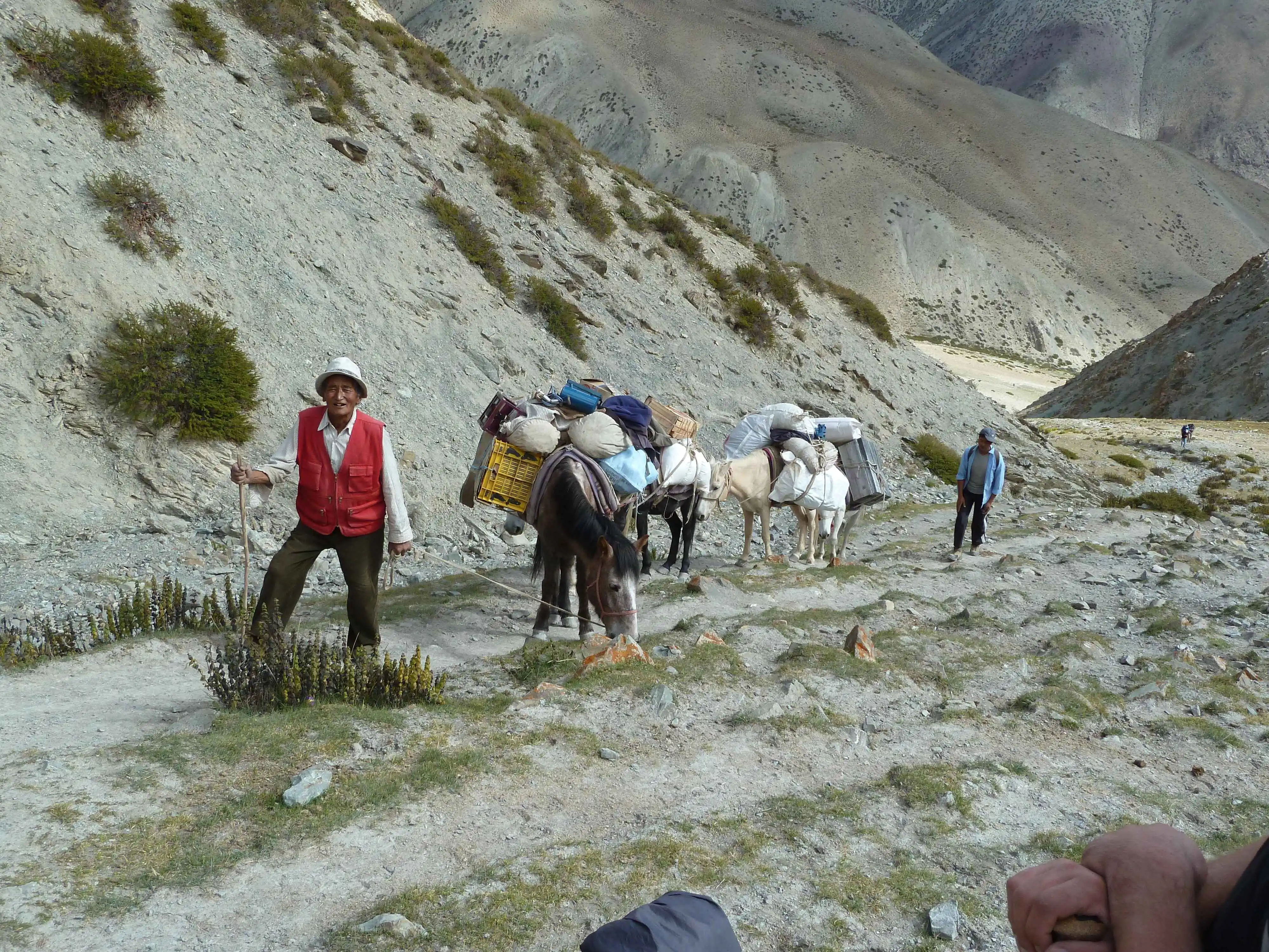 Junglam Trek