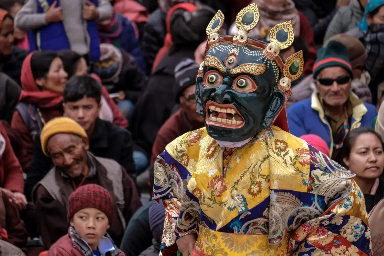 Ladakh Festival